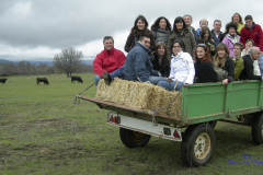 2006_DSCN0870_ganaderia_1811