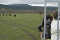 2006_DSCN0872_ganaderia_1811