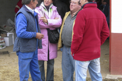 2006_DSCN0881_ganaderia_1811
