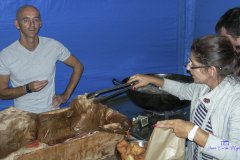 2007_DSCN1441_20070819