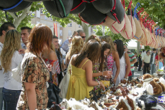 2008_DSCN2499_20080823