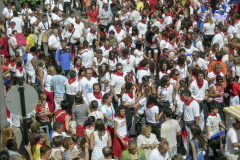 2008_DSCN2568_20080825