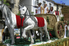 2008_DSCN2644_20080825