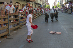 2008_DSCN2663_20080825