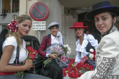 2008_DSCN2726_20080828