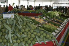 2009