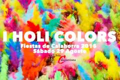 2015_holicolors
