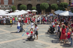 2019__DSC3772_20190827