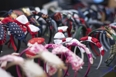 2018__DSC1113_20180819