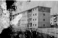 años50s7_01