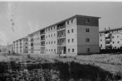años50s7_02