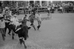 años50s7_17