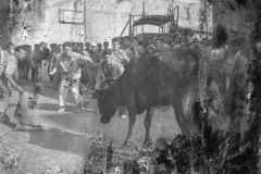 antiguas_007