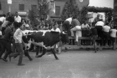 antiguas_086