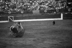 antiguas_156