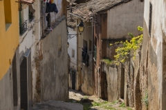 curruca