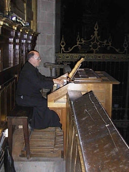 Organo Catedral