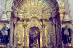 capillarosario