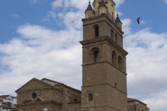 catedrallado1