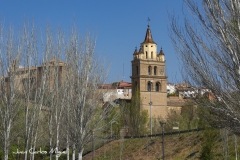 catedraltorre