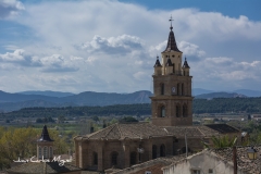 catedraltorre3