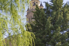 parquecate4