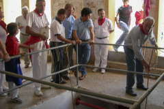 DSCN0674_2006