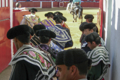 DSCN0768_2006