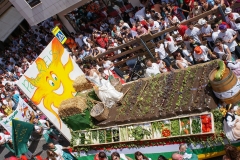 carrozas14