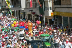 carrozas2
