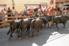 encierros1