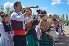 gaiteros