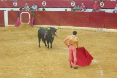toros9