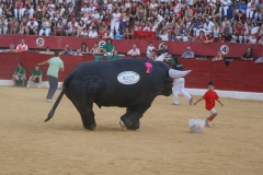 vaquillas5