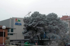 arcca_navidad