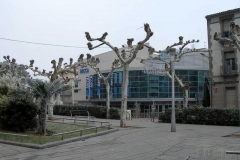 arcca_navidad2