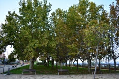 era_alta4