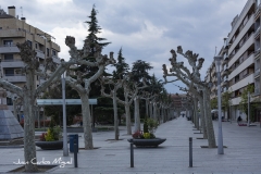 mercadal