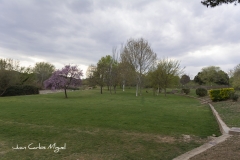 parque2