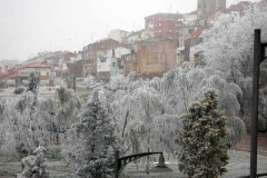 parque_cidacos_navidad