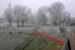 parque_cidacos_navidad3