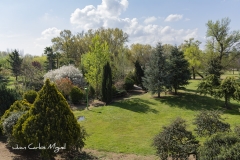 parquecidacos1