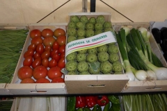 tomates2