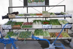verduras