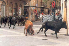 0001_varias_varias_34