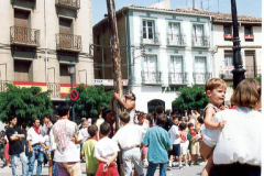 0001_varias_varias_mallo